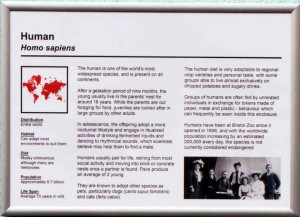 Homo Sapiens - Zoo Sign